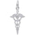 Caduceus Charm In 14K White Gold