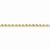 14K Yellow Gold Diamond-Cut Rope with Lobster Clasp Chain Anklet