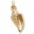 Shell Charm in 10k Yellow Gold hide-image