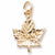 Ottawa Charm in 10k Yellow Gold