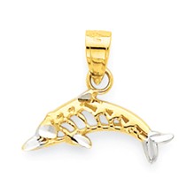 10k Yellow Gold & Rhodium Dolphin Charm hide-image