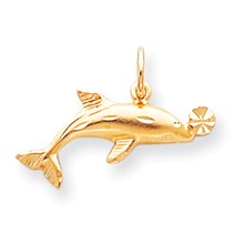 10k Gold Dolphin Charm hide-image