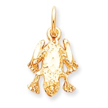 10k Yellow Gold FROG Charm hide-image