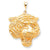 10k Yellow Gold Solid Polished Tigers Head Charm hide-image