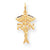 10k Yellow Gold Solid Registered Nurse Charm hide-image