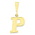 Initial P Charm in 10k Yellow Gold
