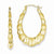 10k Yellow Gold Satin Hollow Fancy Earrings