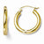 10k Yellow Gold Polished Hinged Hoop Earrings