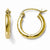 10k Yellow Gold Polished Hinged Hoop Earrings