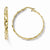 10k Yellow Gold Polished & Hinged Hoop Earrings