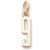 Number 9 charm in Yellow Gold