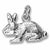 Rabbit charm in Sterling Silver hide-image