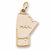 Manitoba,Canada charm in Yellow Gold Plated hide-image