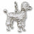 Poodle charm in Sterling Silver hide-image