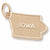 Iowa Charm in 10k Yellow Gold hide-image