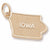 Iowa charm in Yellow Gold Plated hide-image