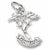 Monterey Cypress charm in Sterling Silver hide-image