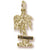 Florida Palm charm in Yellow Gold Plated hide-image