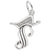 Savannah Charm In 14K White Gold