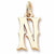 Initial N charm in Yellow Gold Plated hide-image