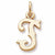 Initial T charm in 14K Yellow Gold