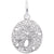 Sand Dollar Charm In 14K White Gold