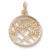 Pocono Mt Charm in 10k Yellow Gold hide-image