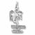 California Palm charm in 14K White Gold hide-image