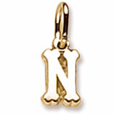 Initial N charm in 14K Yellow Gold