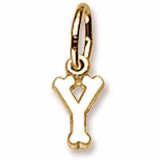 Initial Y charm in Yellow Gold Plated hide-image