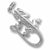 Iguana charm in 14K White Gold hide-image