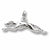 Greyhound charm in 14K White Gold hide-image