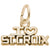 St.Croix Charm in Yellow Gold Plated