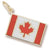 Canadian Flag Charm in 10k Yellow Gold hide-image