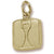 Scale charm in Yellow Gold Plated hide-image