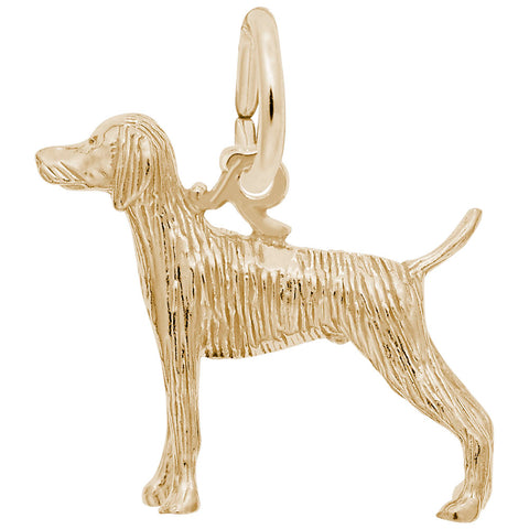 Weimaraner Charm In Yellow Gold