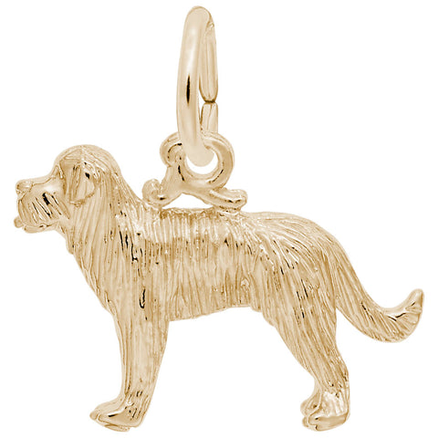 St Bernard Charm In Yellow Gold