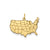 United States Map Charm in 14k Gold