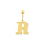 Initial R Charm in 14k Gold