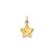 3-D Puffed Star Charm in 14k Gold