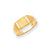 14k Yellow Gold Men's Signet Ring