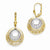 14k Two-tone Polished & Diamond-cut Leverback Earrings