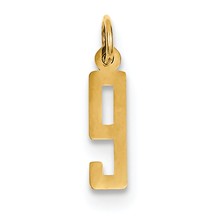 14k Gold Small Polished Elongated 9 Charm hide-image