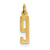 14k Gold Small Polished Elongated 9 Charm hide-image