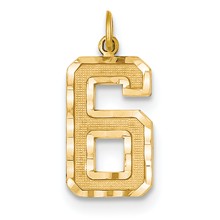 14ky Casted Large Diamond Cut Number 6 Charm hide-image