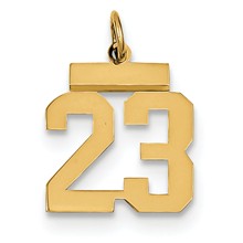 14k Gold Small Polished Number 23 Charm hide-image