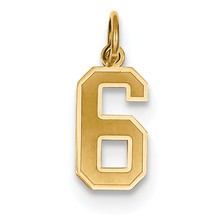 14k Gold Small Satin Number 6 Charm hide-image