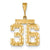 14k Gold Medium Diamond-cut Number 36 Charm hide-image