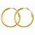 14k Yellow Gold 3x30mm Polished Round Hoop Earrings