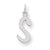 Sterling Silver Large Slanted Block Initial S Charm hide-image